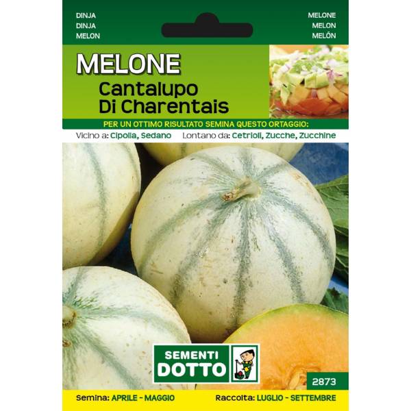 Sementi da Orto - Melone Cantalupo di Charentais - Sem. Dotto