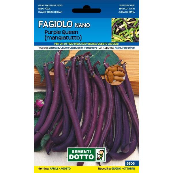 Sementi da Orto - Fagiolino Purple Queen