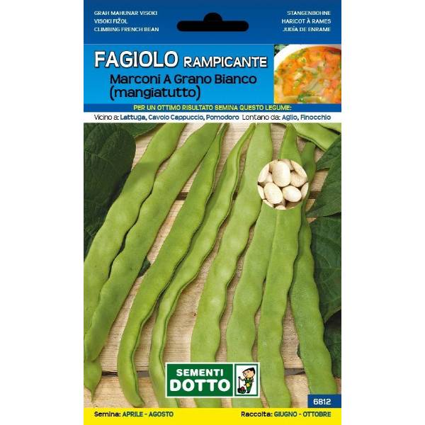Sementi da Orto - Fagiolino Marconi a grano bianco rampicante 250g - Sem. Dotto