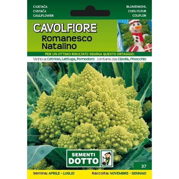 Sementi da Orto - Cavolfiore Romanesco Natalino - Sem. Dotto