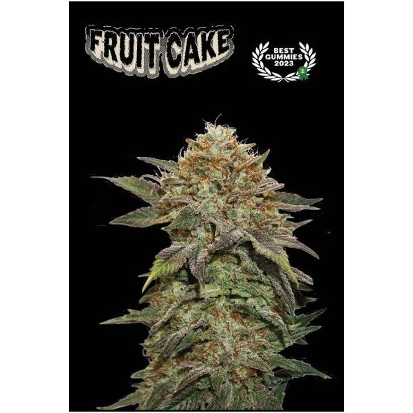 Seedstockers - Superior Fruit Cake - 5 fem