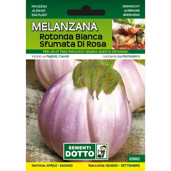 Sementi da Orto - Melanzana Rotonda Bianca Sfumata - Sem. Dotto