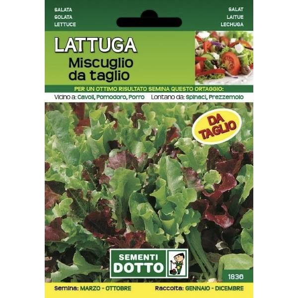 Sementi da Orto - Lattuga In miscuglio da Taglio - Sem. Dotto