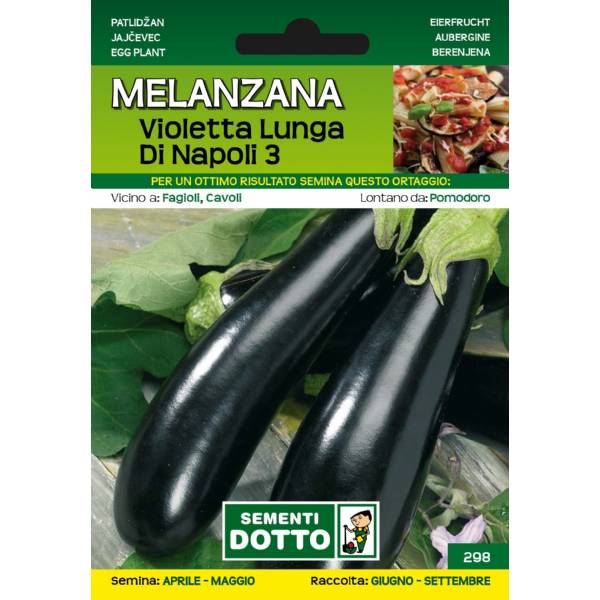 Sementi da Orto - Melanzana Violetta Lunga di Napoli 3