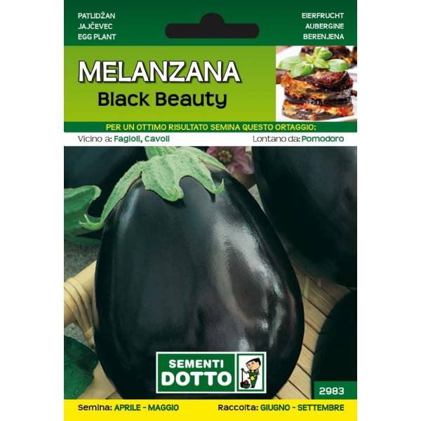 Sementi da Orto - Melanzana Black Beauty - Sem. Dotto