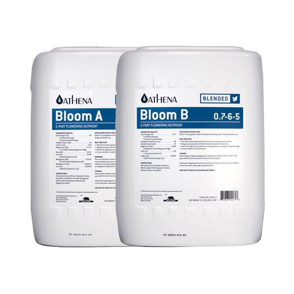 Athena - Bloom A + B - 2x18,92L