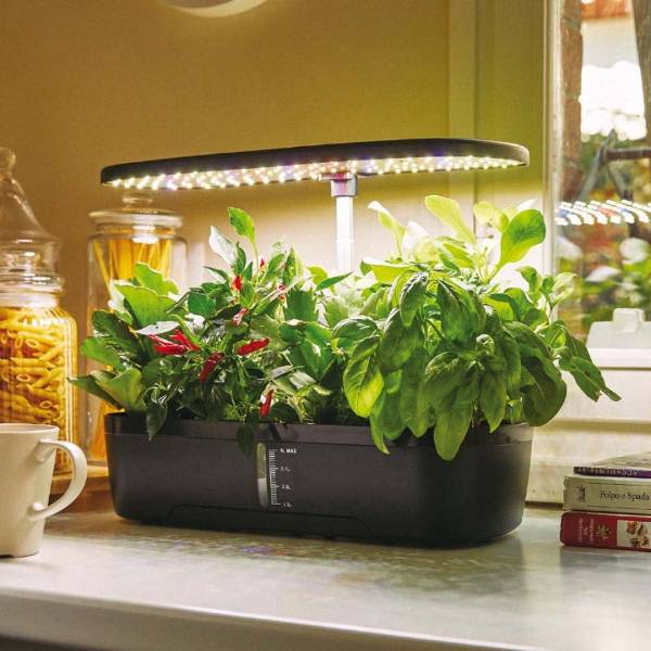 Orto idroponico indoor 12 celle - Verdemax