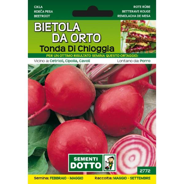 Sementi da Orto - Barbabietola Tonda di Chioggia - Sem. Dotto