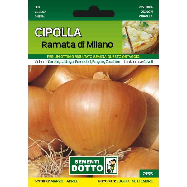 Sementi da Orto - Cipolla Ramata di Milano - Sem. Dotto
