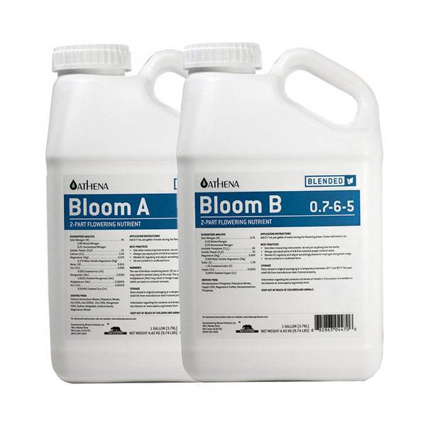 Athena - Bloom A+B - 2x0,94L
