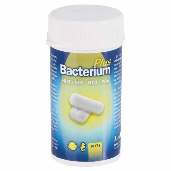 Bacterium Plus - Capsule