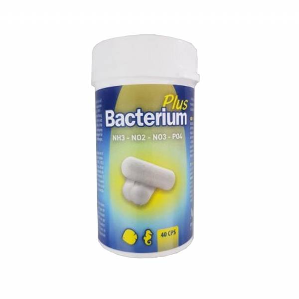 Bacterium Plus - Capsule