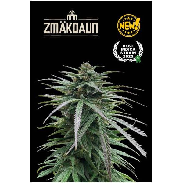 Seedstockers - Superior Zmäkdaun (Outdoor) - 3 fem