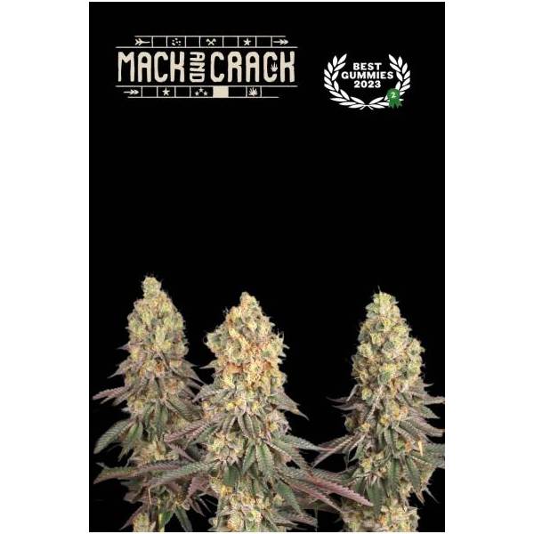 Seedstockers - Mack and Crack - 1 fem