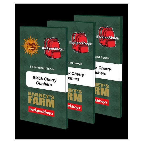 Barney's Farm - Black Cherry Gushers - 3 fem