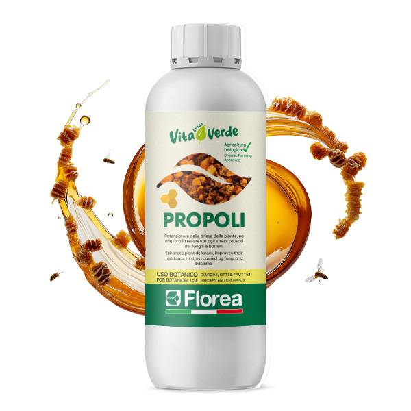 Florea - Propoli 500gr