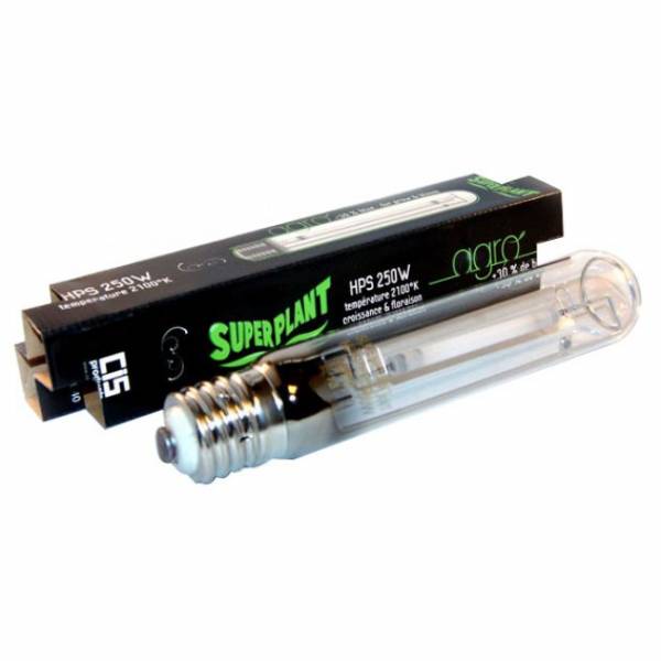 Bulbo SuperPlant  AGRO 1000W - Vegetativa + Fioritura