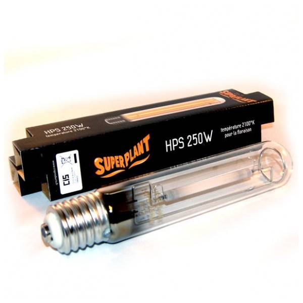 Bulbo Coltivazione SuperPlant HPS 250W - Fioritura